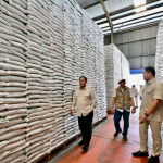 Ketersediaan Stok Beras Nasional Cukup Hadapi Krisis Timur Tengah dan El Nino