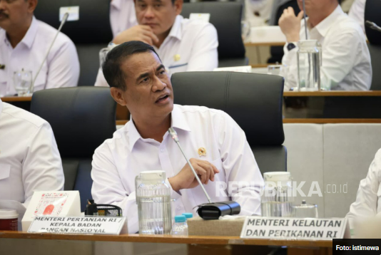 Impor Pangan Hanya 5 Persen, Amran Ungkap Indonesia Sudah Swasembada