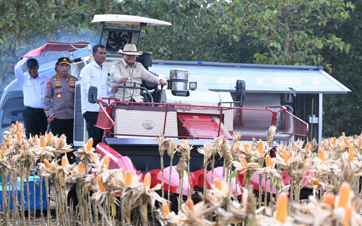 BULOG Serap Hasil Panen Raya Jagung Kuartal II, Perkuat Sinergi dengan Polri untuk Swasembada Pangan Berkelanjutan