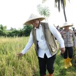 BULOG Tembus 3 Juta Ton Serapan Gabah-Beras Petani, Rekor Baru Penguatan Cadangan Pangan Nasional