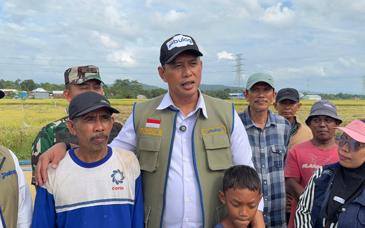 BULOG Terus Menyerap Gabah Beras Petani Dalam Negeri Sepanjang Tahun Sesuai Penugasan Pemerintah