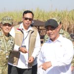 BULOG Perkuat Sinergi Ketahanan Pangan melalui Panen Raya Serentak TNI
