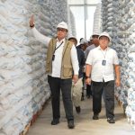 BULOG Berhasil Serap 3,5 Juta Ton Setara Beras Petani