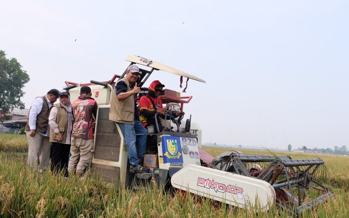 BULOG Tegaskan Stok Beras 5,25 Juta Ton Tersebar di Seluruh Gudang Indonesia