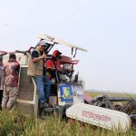 BULOG Tegaskan Stok Beras 5,25 Juta Ton Tersebar di Seluruh Gudang Indonesia