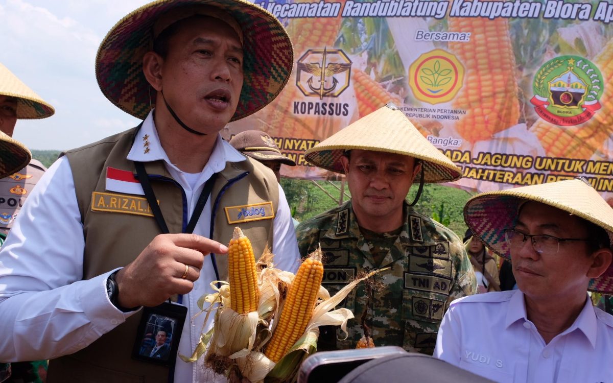BULOG Siap Salurkan Tambahan 150 Ribu Ton SPHP Jagung hingga Akhir 2026, Realisasi Penugasan Mencapai 66 Persen