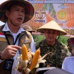 BULOG Siap Salurkan Tambahan 150 Ribu Ton SPHP Jagung hingga Akhir 2026, Realisasi Penugasan Mencapai 66 Persen